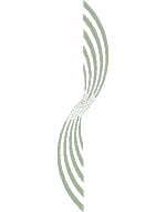 Presentaci�n de la empresa